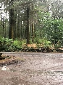 Crosdress roadside stop